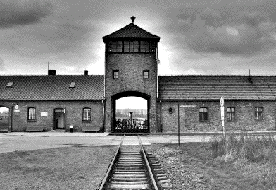 auschwitz-birkenau-3